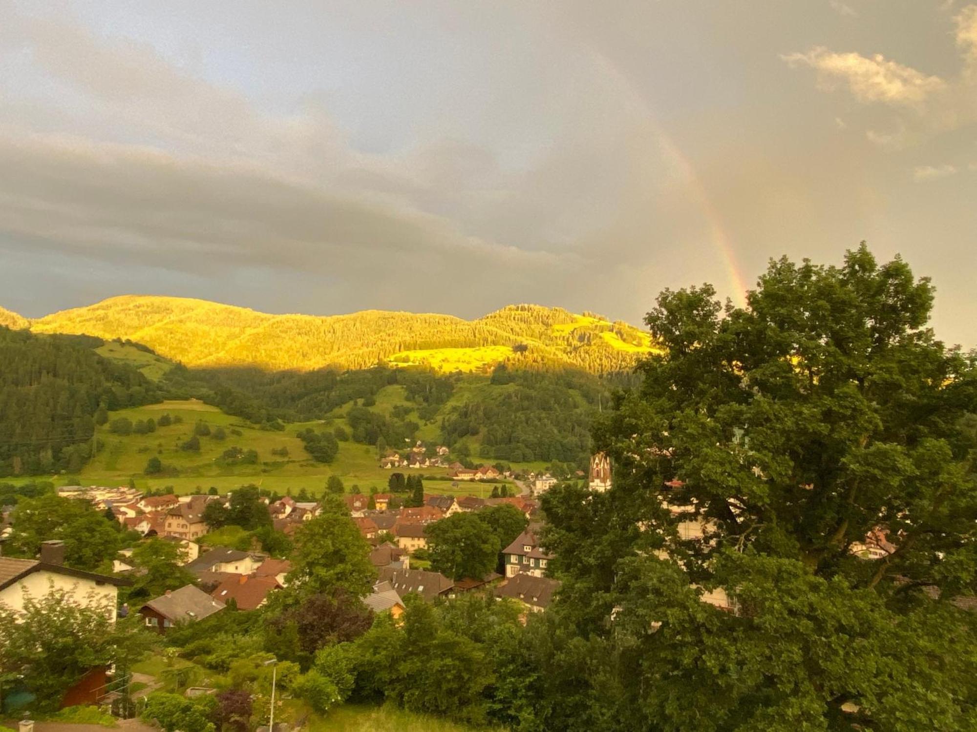Ferienwohnung Schoenblick Schönau im Schwarzwald المظهر الخارجي الصورة