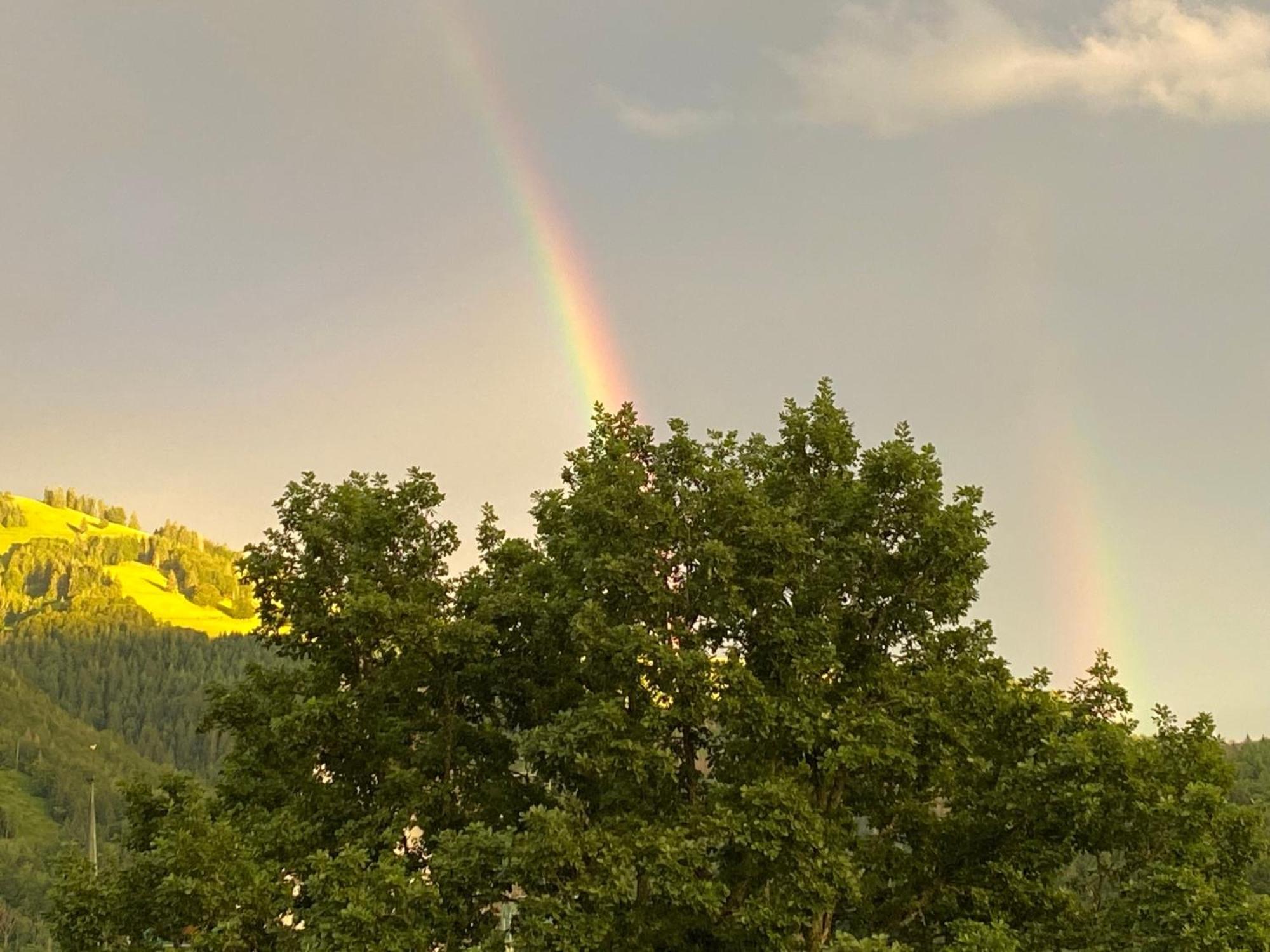 Ferienwohnung Schoenblick Schönau im Schwarzwald المظهر الخارجي الصورة